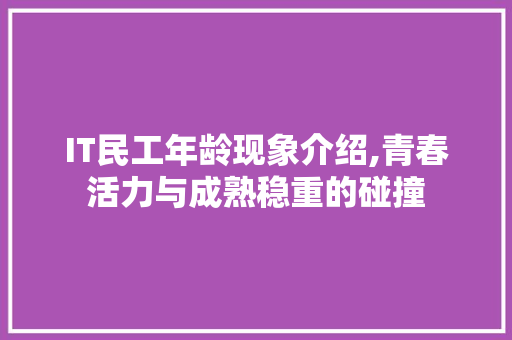 IT民工年龄现象介绍,青春活力与成熟稳重的碰撞