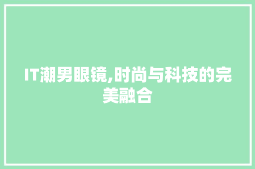IT潮男眼镜,时尚与科技的完美融合