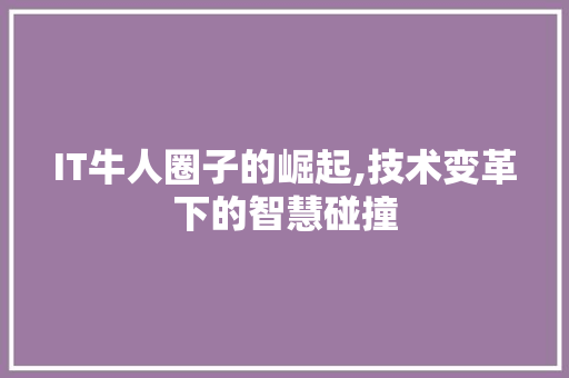 IT牛人圈子的崛起,技术变革下的智慧碰撞