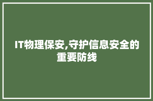 IT物理保安,守护信息安全的重要防线