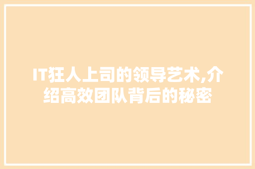 IT狂人上司的领导艺术,介绍高效团队背后的秘密