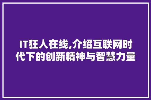 IT狂人在线,介绍互联网时代下的创新精神与智慧力量