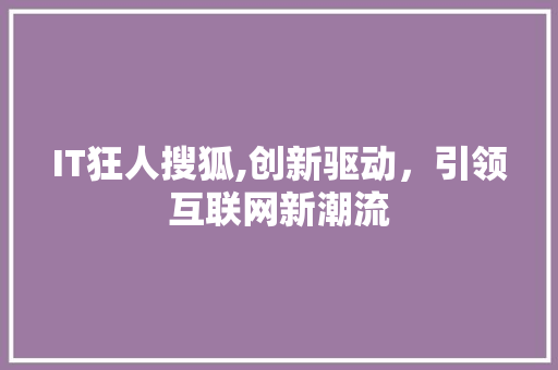 IT狂人搜狐,创新驱动，引领互联网新潮流