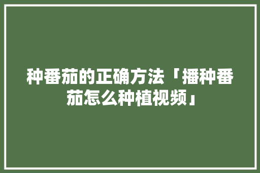 种番茄的正确方法「播种番茄怎么种植视频」 种番茄的正确方法「播种番茄怎么种植视频」 花朵知识