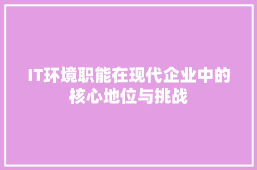 IT环境职能在现代企业中的核心地位与挑战