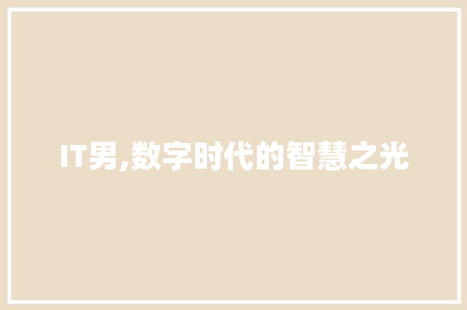 IT男,数字时代的智慧之光