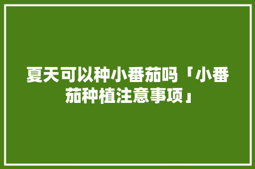 夏天可以种小番茄吗「小番茄种植注意事项」 夏天可以种小番茄吗「小番茄种植注意事项」 种植技巧