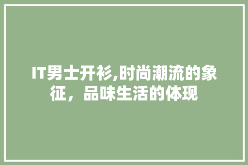 IT男士开衫,时尚潮流的象征，品味生活的体现