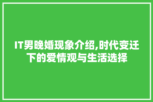 IT男晚婚现象介绍,时代变迁下的爱情观与生活选择