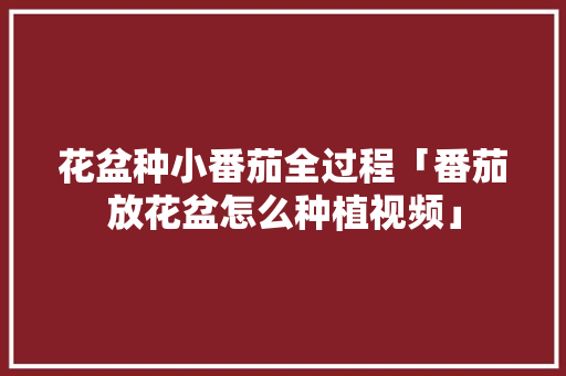 花盆种小番茄全过程「番茄放花盆怎么种植视频」 花盆种小番茄全过程「番茄放花盆怎么种植视频」 农业常识