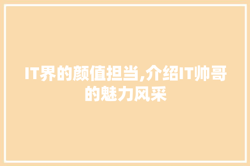 IT界的颜值担当,介绍IT帅哥的魅力风采
