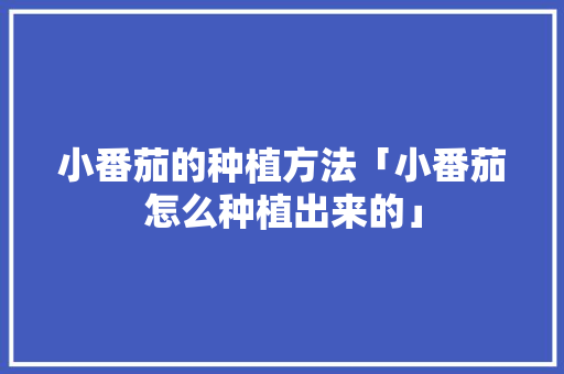 小番茄的种植方法「小番茄怎么种植出来的」 小番茄的种植方法「小番茄怎么种植出来的」 番茄种植技巧
