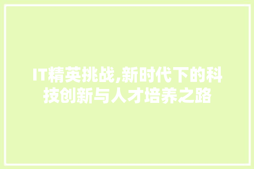 IT精英挑战,新时代下的科技创新与人才培养之路