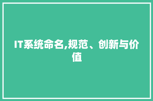 IT系统命名,规范、创新与价值