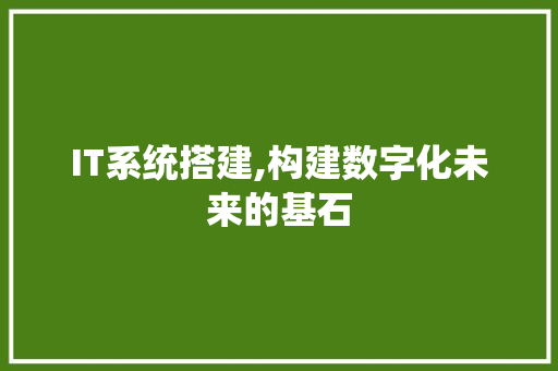 IT系统搭建,构建数字化未来的基石