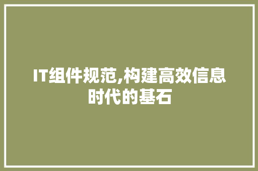 IT组件规范,构建高效信息时代的基石