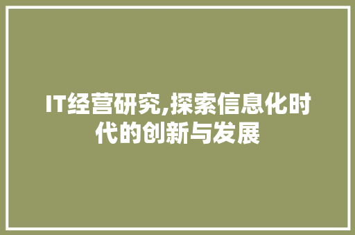 IT经营研究,探索信息化时代的创新与发展