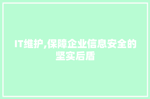IT维护,保障企业信息安全的坚实后盾