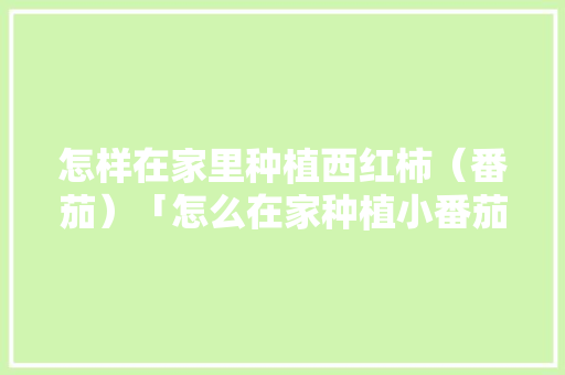 怎样在家里种植西红柿（番茄）「怎么在家种植小番茄视频」 怎样在家里种植西红柿（番茄）「怎么在家种植小番茄视频」 种植技巧
