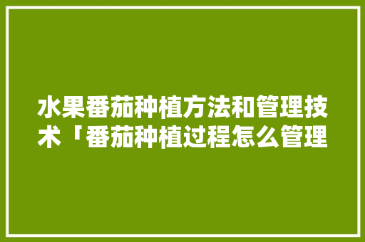 水果番茄种植方法和管理技术「番茄种植过程怎么管理好呢」 水果番茄种植方法和管理技术「番茄种植过程怎么管理好呢」 种植技巧