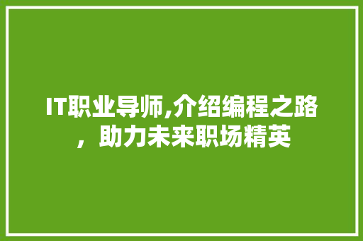 IT职业导师,介绍编程之路，助力未来职场精英