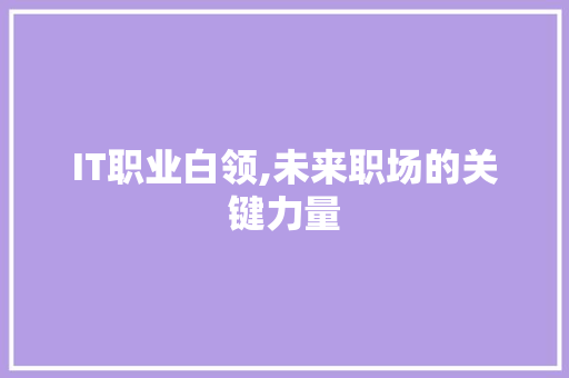 IT职业白领,未来职场的关键力量
