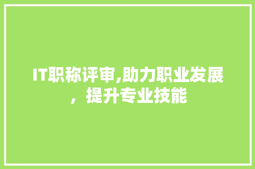 IT职称评审,助力职业发展，提升专业技能