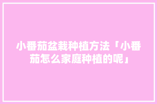 小番茄盆栽种植方法「小番茄怎么家庭种植的呢」 小番茄盆栽种植方法「小番茄怎么家庭种植的呢」 植物种类
