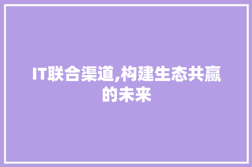 IT联合渠道,构建生态共赢的未来