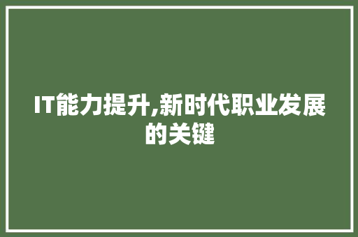 IT能力提升,新时代职业发展的关键