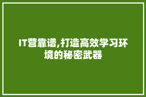 IT营靠谱,打造高效学习环境的秘密武器
