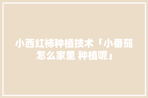 小西红柿种植技术「小番茄怎么家里 种植呢」 小西红柿种植技术「小番茄怎么家里 种植呢」 植物种类