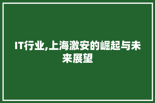 IT行业,上海激安的崛起与未来展望