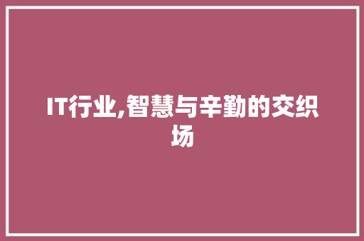 IT行业,智慧与辛勤的交织场
