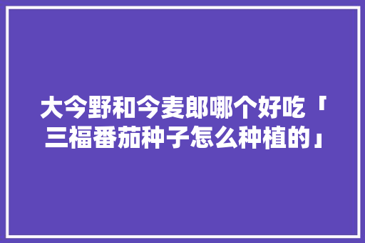 大今野和今麦郎哪个好吃「三福番茄种子怎么种植的」 大今野和今麦郎哪个好吃「三福番茄种子怎么种植的」 番茄病虫害防治