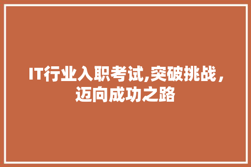 IT行业入职考试,突破挑战，迈向成功之路