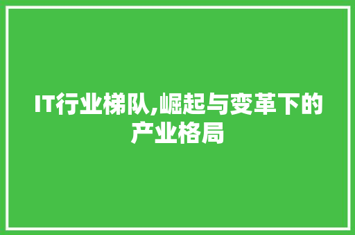 IT行业梯队,崛起与变革下的产业格局