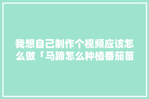 我想自己制作个视频应该怎么做「马蹄怎么种植番茄苗视频教程」