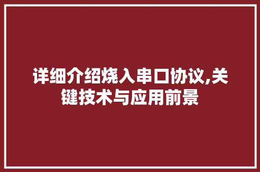 详细介绍烧入串口协议,关键技术与应用前景