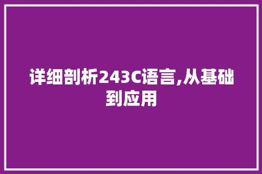 详细剖析243C语言,从基础到应用