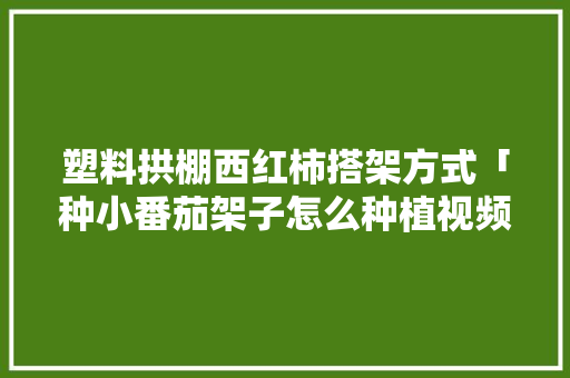 塑料拱棚西红柿搭架方式「种小番茄架子怎么种植视频」 塑料拱棚西红柿搭架方式「种小番茄架子怎么种植视频」 番茄种植技巧
