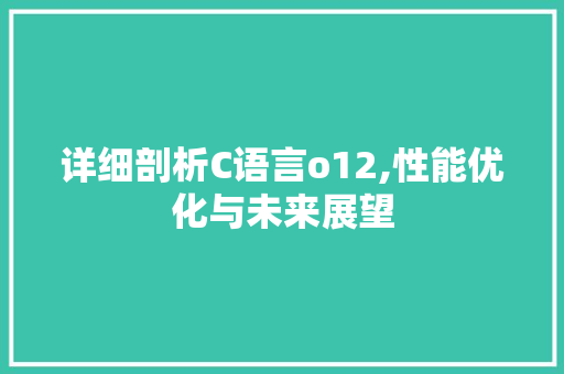 详细剖析C语言o12,性能优化与未来展望