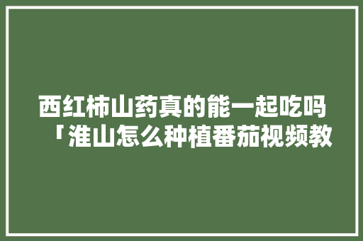 西红柿山药真的能一起吃吗「淮山怎么种植番茄视频教程」