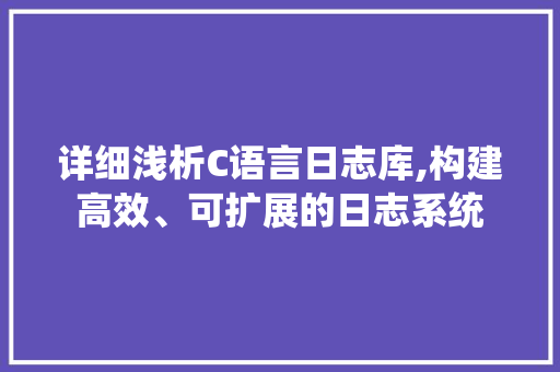 详细浅析C语言日志库,构建高效、可扩展的日志系统
