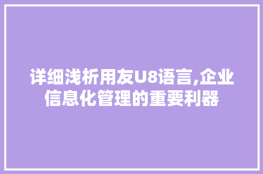 详细浅析用友U8语言,企业信息化管理的重要利器