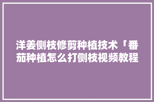 洋姜侧枝修剪种植技术「番茄种植怎么打侧枝视频教程」 洋姜侧枝修剪种植技术「番茄种植怎么打侧枝视频教程」 花朵知识