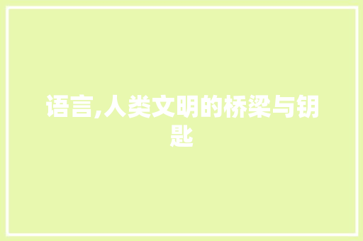 语言,人类文明的桥梁与钥匙