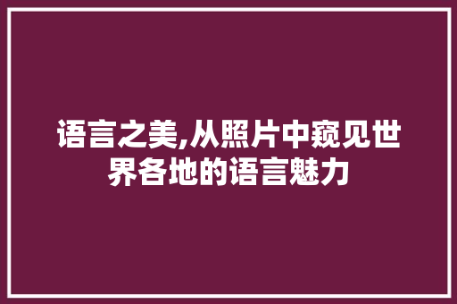 语言之美,从照片中窥见世界各地的语言魅力