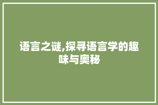 语言之谜,探寻语言学的趣味与奥秘