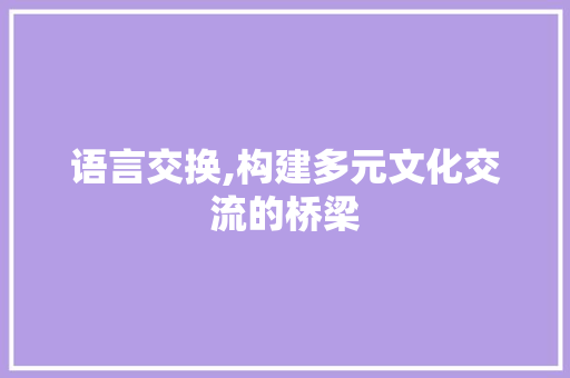 语言交换,构建多元文化交流的桥梁